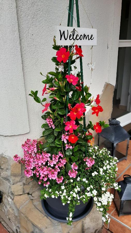 בלטונפנבש Munkacsy Apartmanok מראה חיצוני תמונה